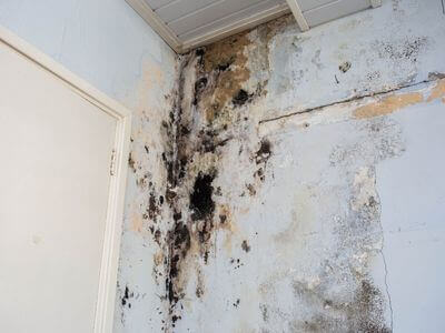 About water damage cleanup - ceiling water damage repair experts in Montclair